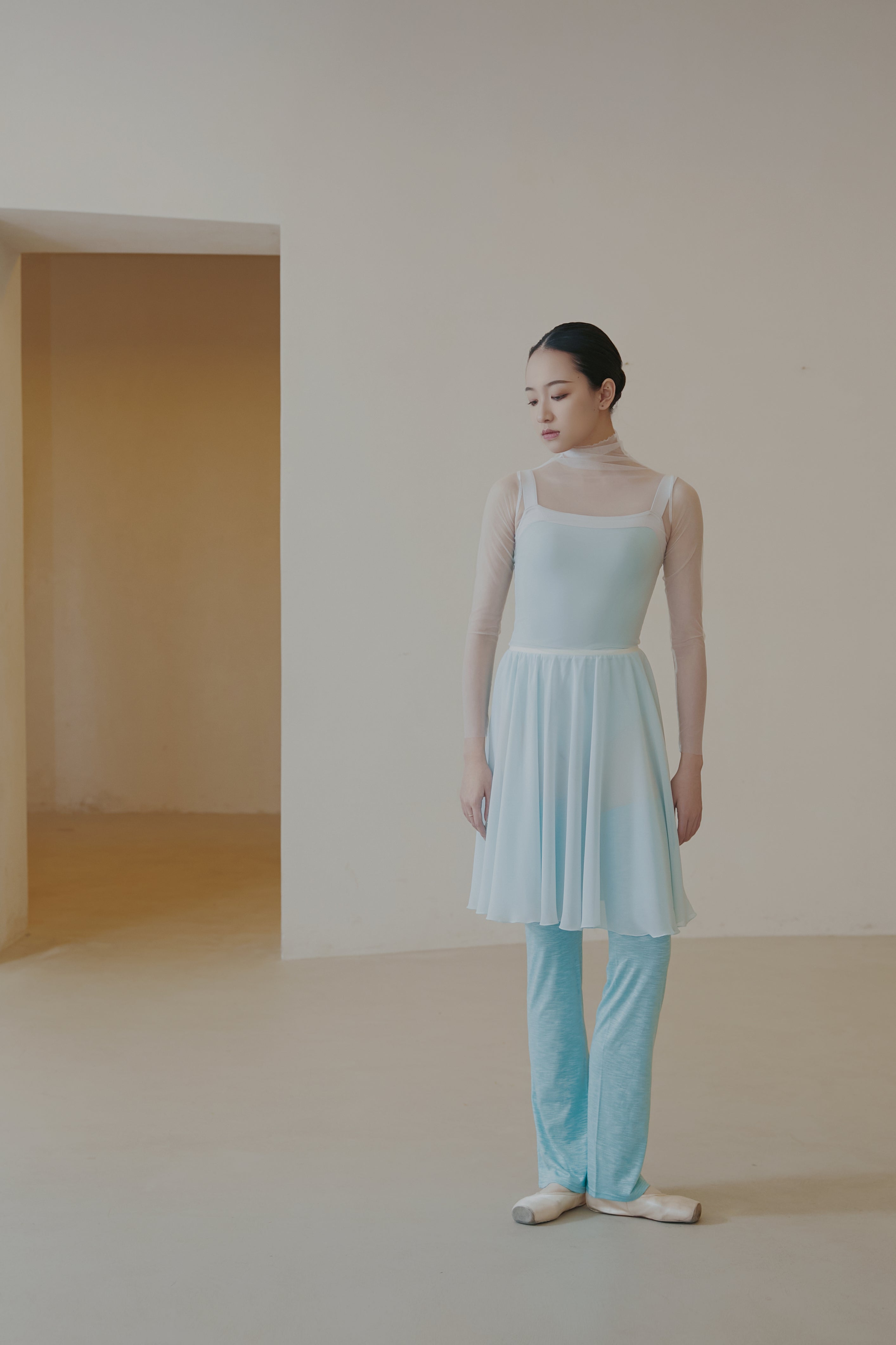 Rehearsal Skirt  Translucent