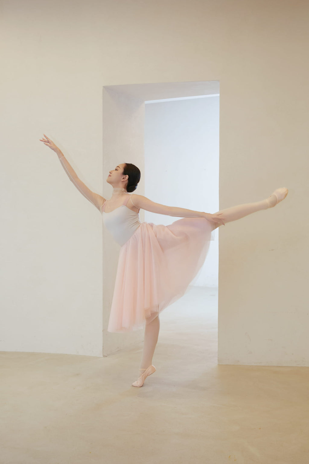 RTW Ballet Tutu Mesh Performance Skirt