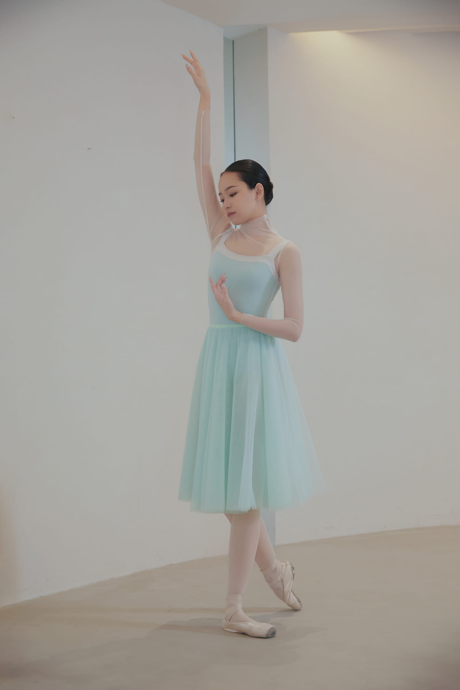 RTW Ballet Tutu Mesh Performance Skirt