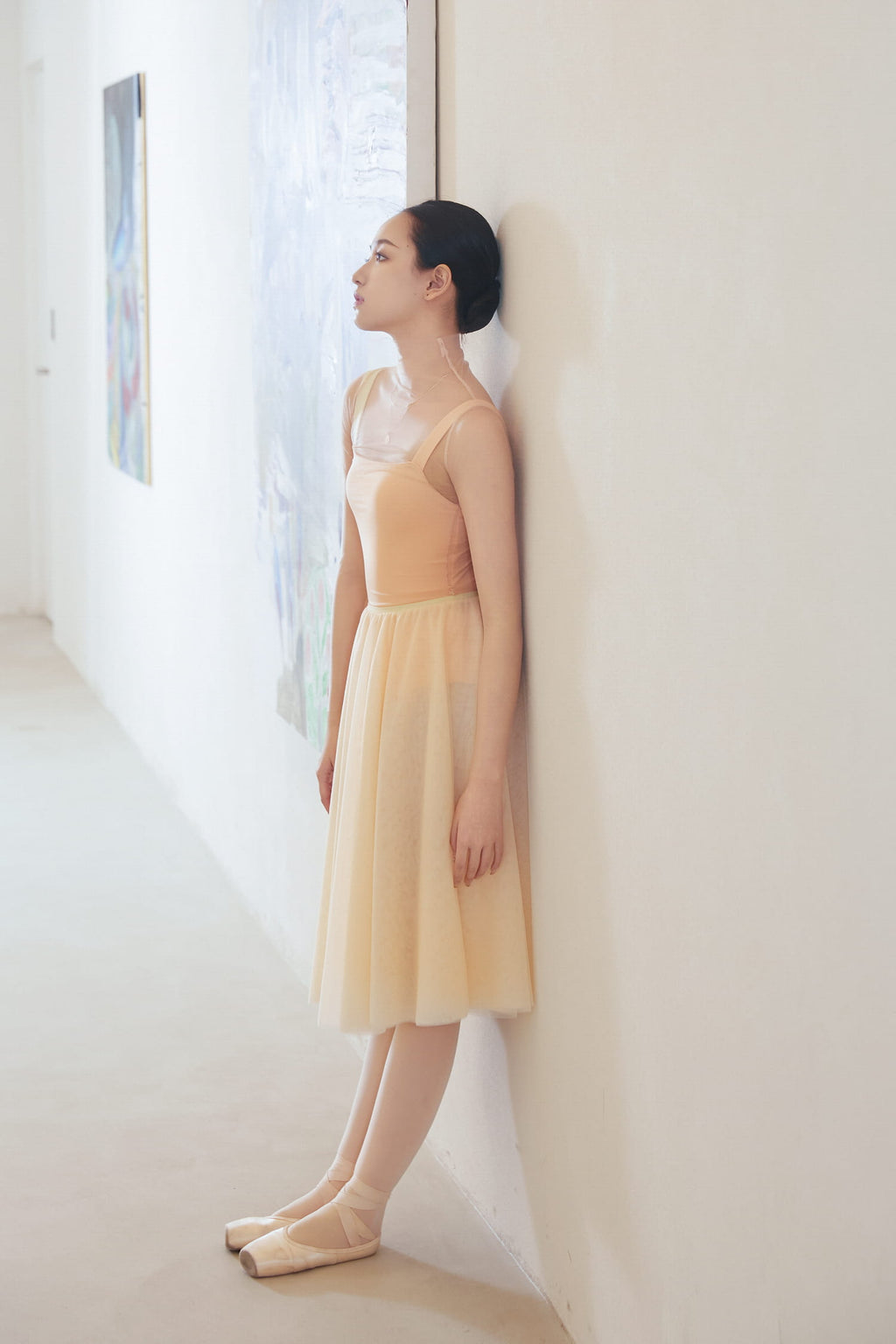 RTW Ballet Tutu Mesh Performance Skirt
